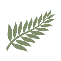 Fernwood Cottages logo